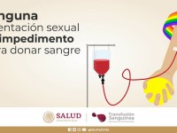 SENADO EXHORTA A NO DISCRIMINAR A LA COMUNIDAD LGBT EN LA DONACIÓN DE&nbsp;SANGRE
